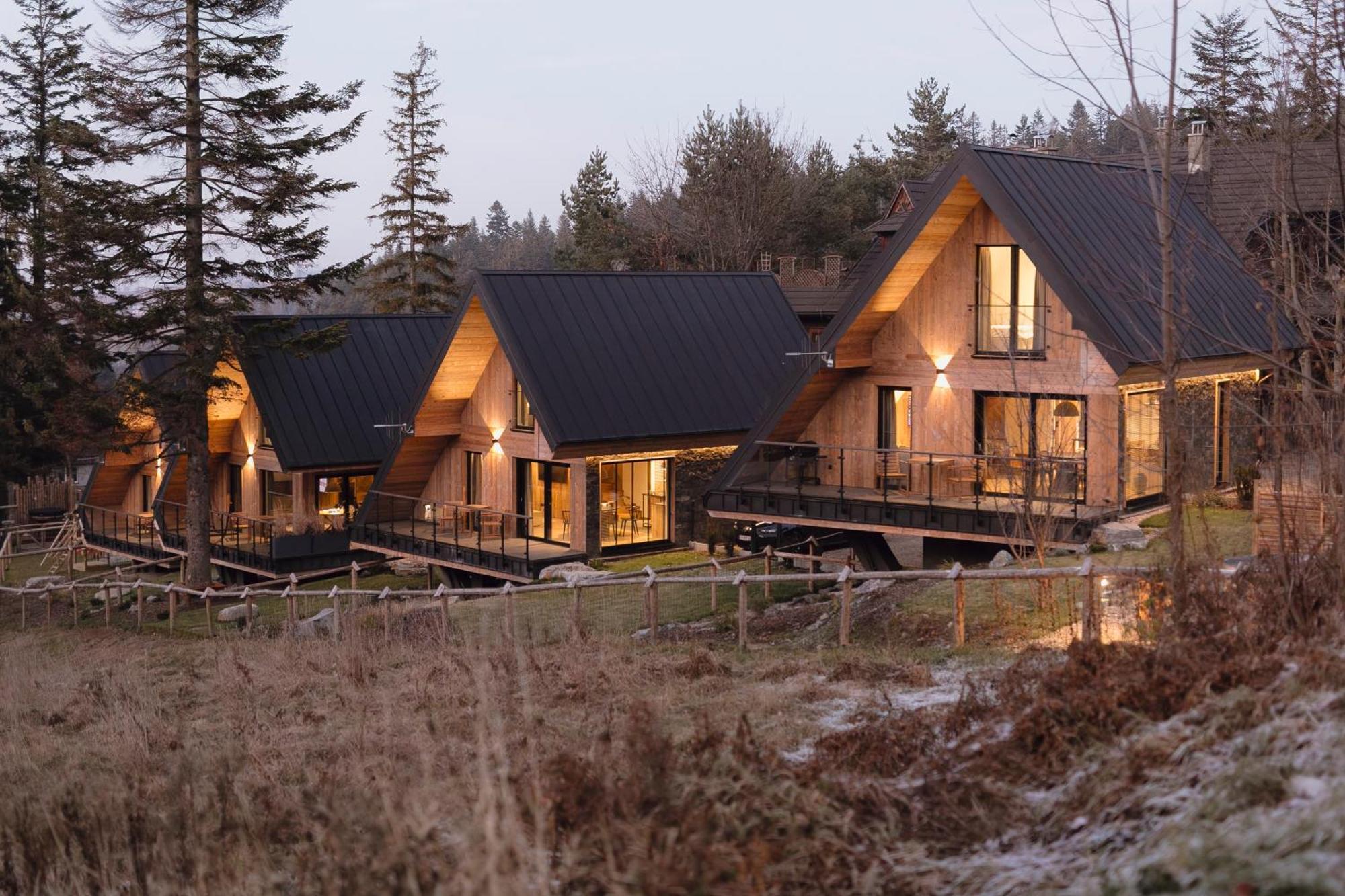 The Sopa - Heritage Premium Chalet Zakopane